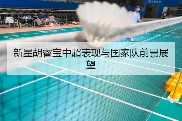 新星胡睿宝中超表现与国家队前景展望 - 360app